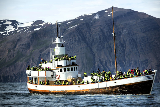 �1754857 �������(a): ����������:3900x2599